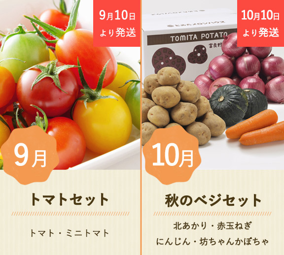 ベジタブルコレクションコース | とみたメロンハウス