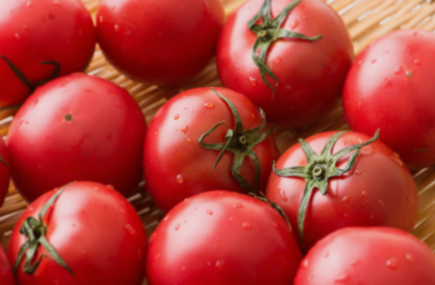 トラットリア ピッツェリア ポリポ かんたんネット予約【公式】