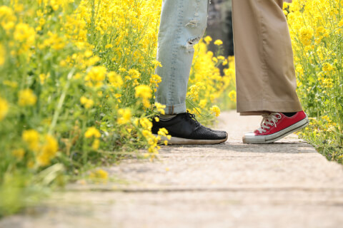 カップル 菜の花畑