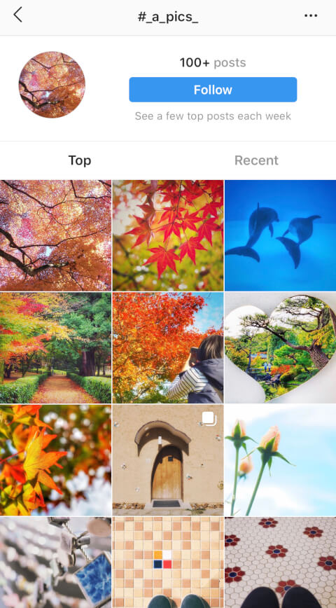インスタグラム　ハッシュタグ　フォロー