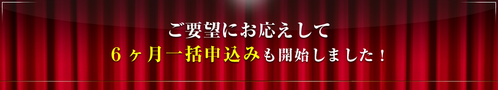 6ヶ月一括