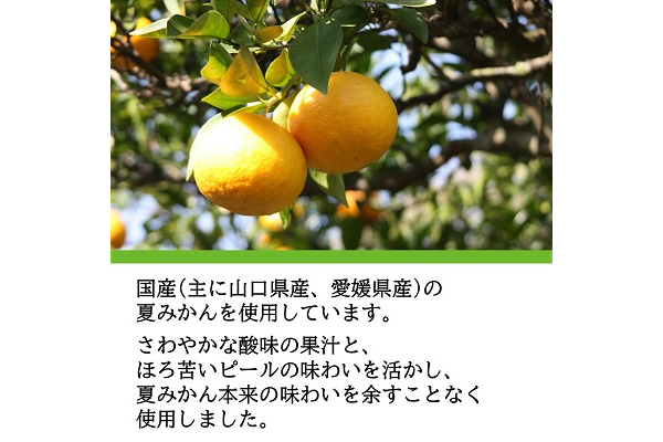 国産柑橘マーマレード さわやかな酸味 夏みかん