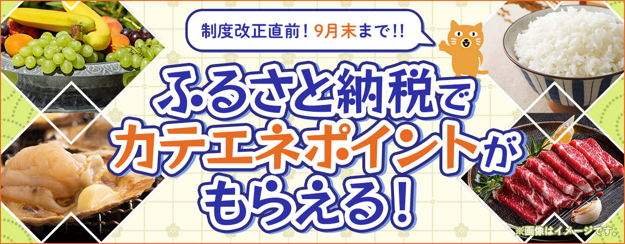 /feature/furusato2025