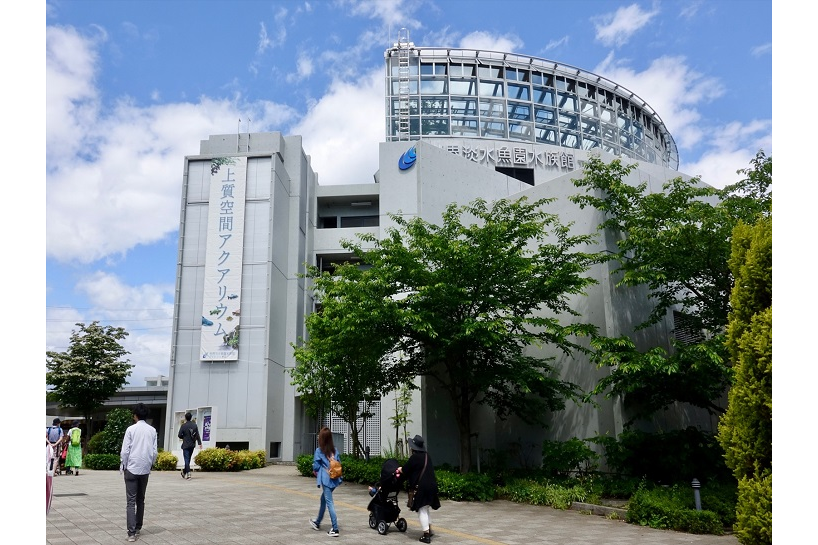 アクアトトぎふ 園児 招待券 品多く 招待券