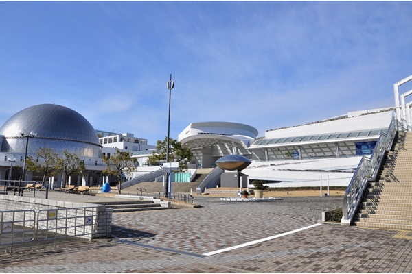 名古屋港水族館入館券 名古屋港水族館 みんなの得トクひろば 中部電力ミライズ公式 最新プレゼント情報 名古屋港水族館入館券 名古屋港水族館 みんなの得トクひろば 中部電力ミライズ公式 最新プレゼント情報