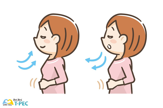 腹式呼吸の方法を表した図です。