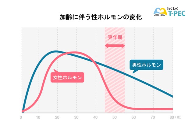 加齢に伴う性ホルモンの変化を表したグラフ