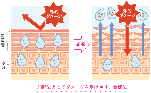 加齢による肌の変化