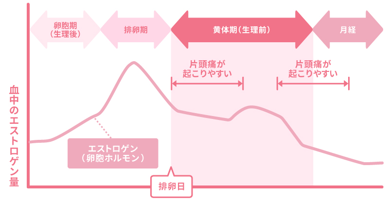 生理に関連する片頭痛とエストロゲンの変動の関係