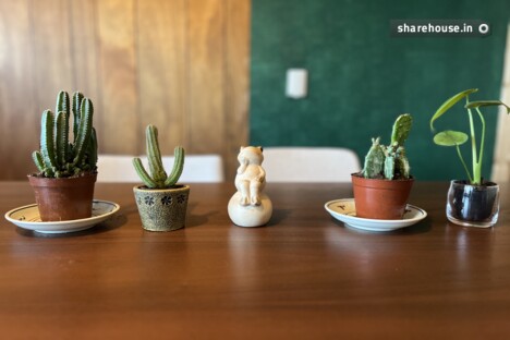 Zero House 明大前