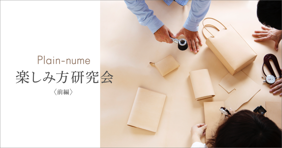【Plain-nume 楽しみ方研究会 <前編>】