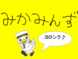横須賀バレーボールみかみんず