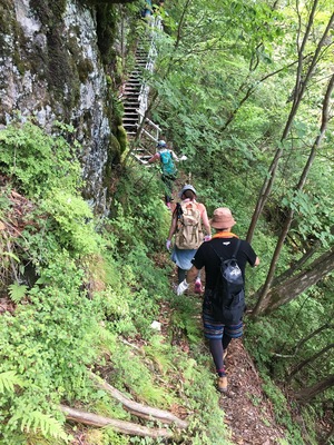 そこに山があるから登ってみよ(^ ^)