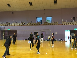 ソフトバレーボール