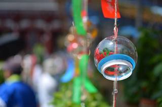 Furin 3