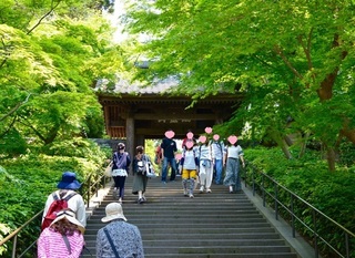Hiking kamakura1