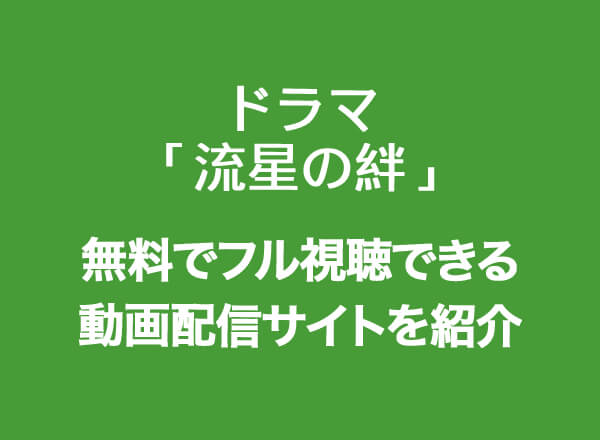 ドラマ 流星の絆 の動画を1話から全話無料視聴できる動画配信サイトは Tvマガ