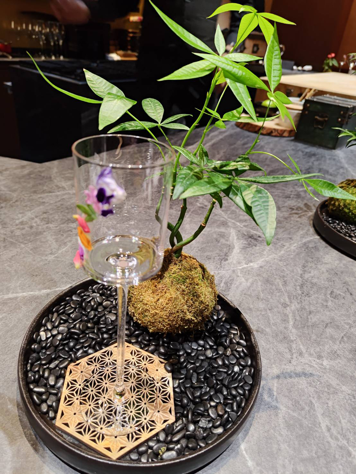 「燒肉天皇」植栽們「坐檯」陪吃,看不順眼可打槍重選;當天陪伴筆者用餐的是小柴。(示意圖)