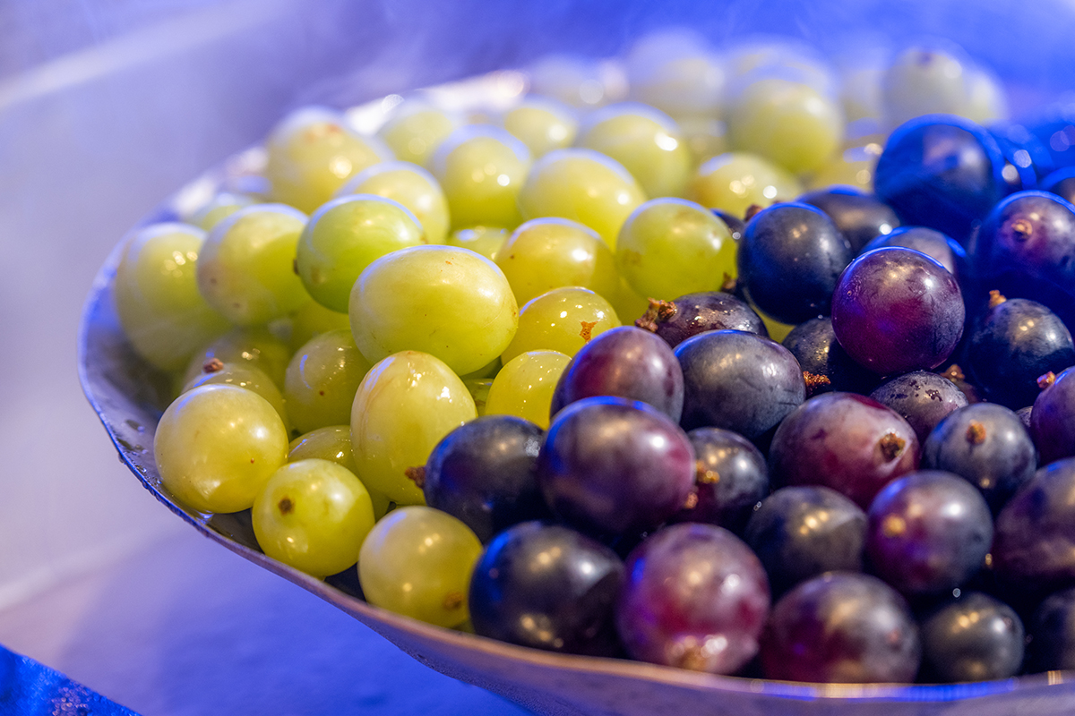 千葉冬季進補推出麝香葡萄、麻油雞、羊肉爐吃到飽。（示意圖：品牌提供）