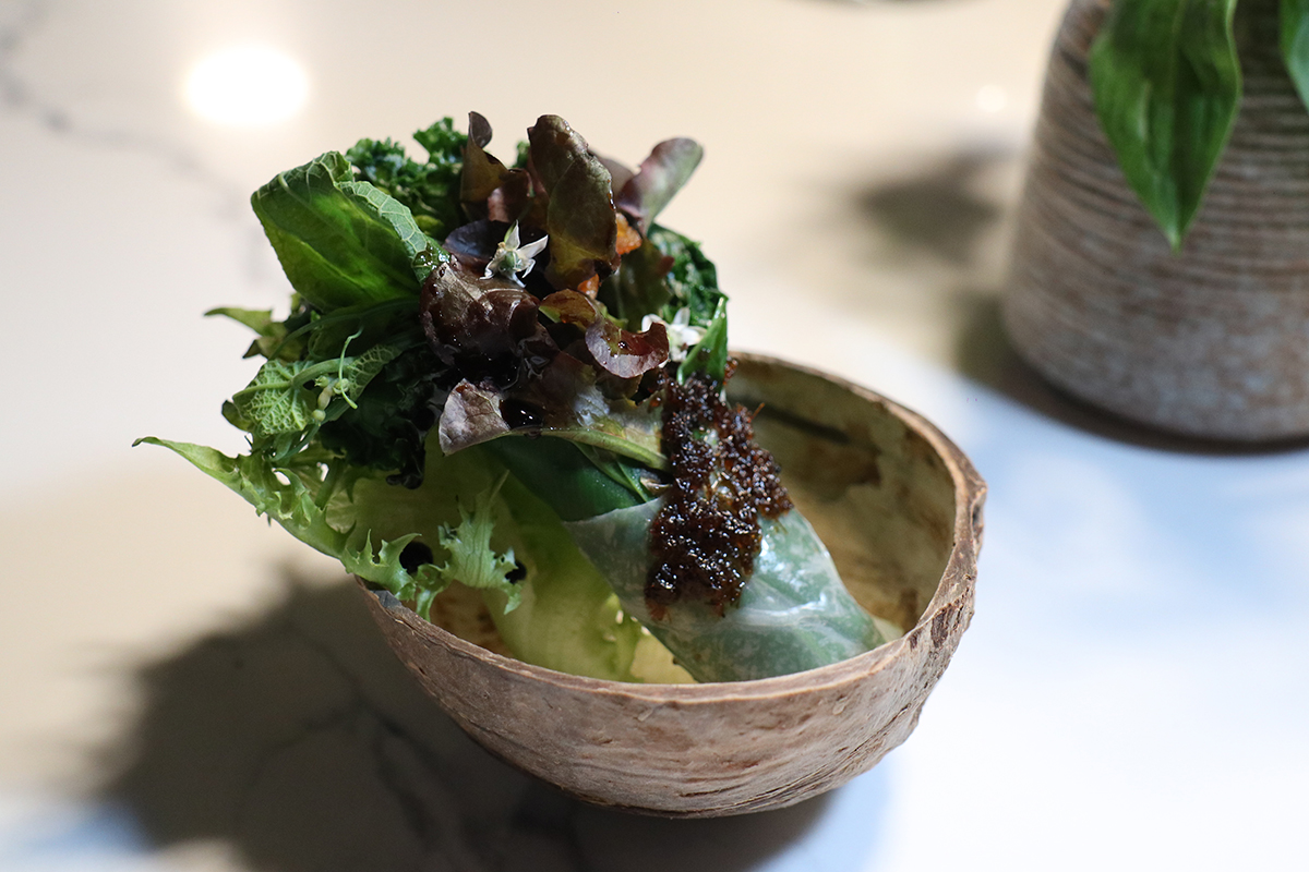 夏花餐室雙廚四手餐會-「野菜沙拉」不只使用台灣山蘇、川七等山林野菜，其靈魂更來自於主廚特製的「螞蟻醬」。（示意圖）