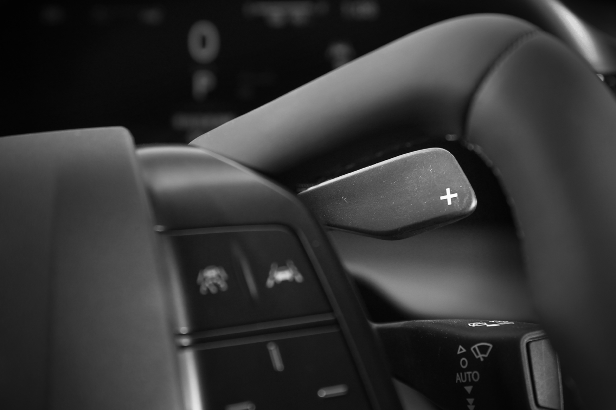 可控制動能回收力道，在M-Mode模式則會變成模擬燃油換檔功能。