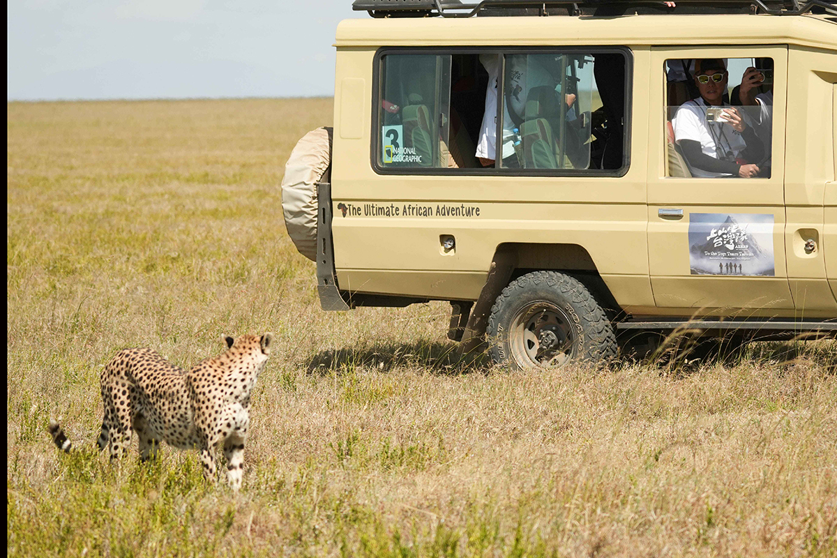【車勢星聞】《上山吧！台灣隊》非洲與獅子、獵豹、鬣狗比鄰而居。（圖：三立提供） 