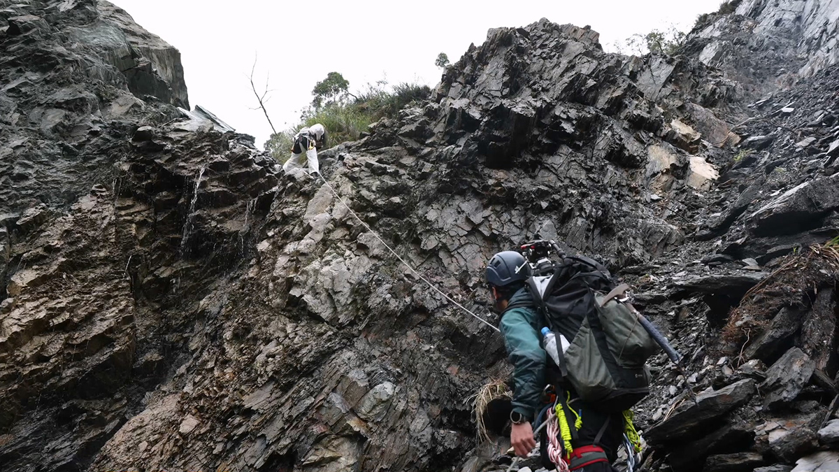 【車勢星聞】公視《我們的島》與研究團隊在困難地形進行垂降。(公視提供)