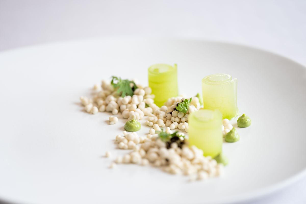 燈燈庵×渥達尼斯磨坊聯名餐酒饗宴名廚料理「經典重現」。（示意圖：品牌提供）