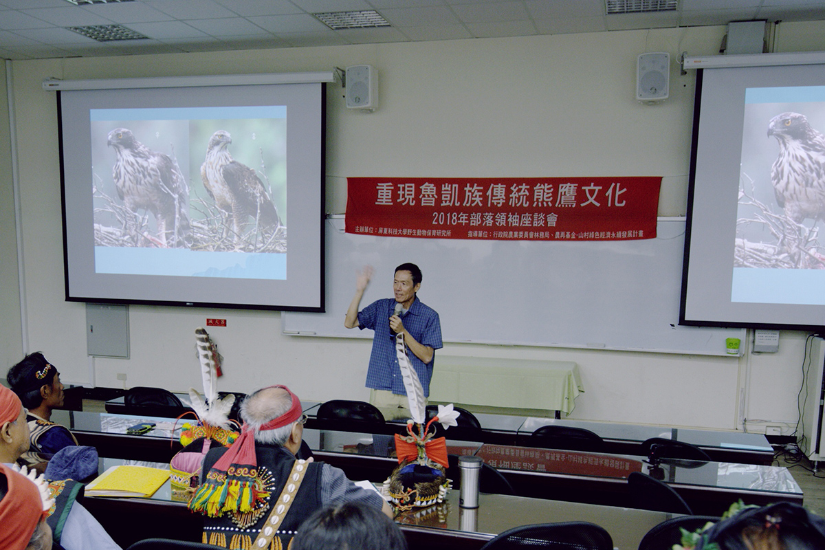 【車勢星聞】【飛吧！熊鷹】劇照_本片跟隨長年研究熊鷹的學者孫元勳，層層看見熊鷹鮮少曝光的行為與生態祕密。(照片「采昌國際多媒體」提供)