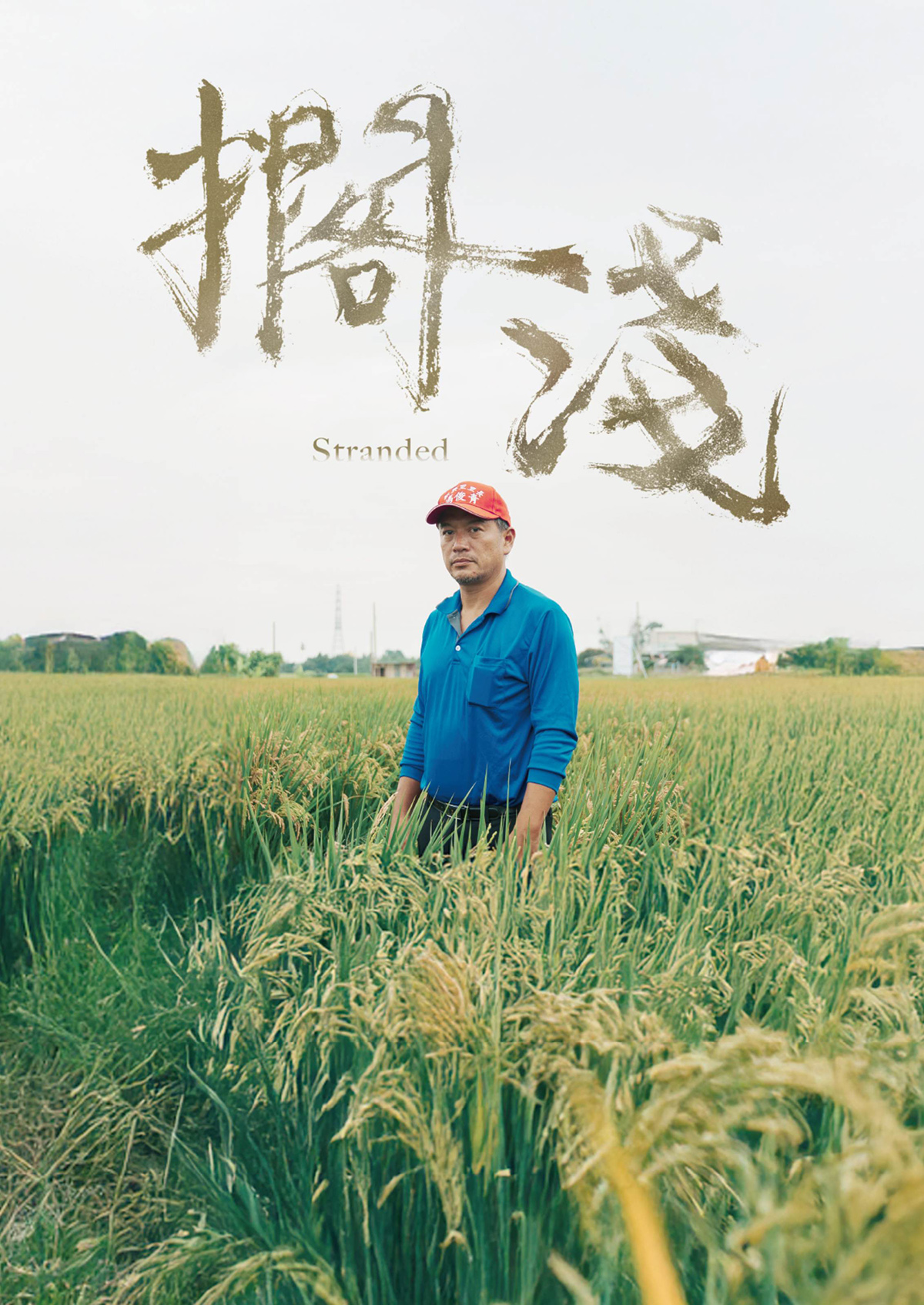 【車勢星聞】 男星張翰主演公視學生劇展《擱淺》 以細膩視角刻劃土地與親情的羈絆；導演李智道更為拍片種出一整片稻田。(公視提供)