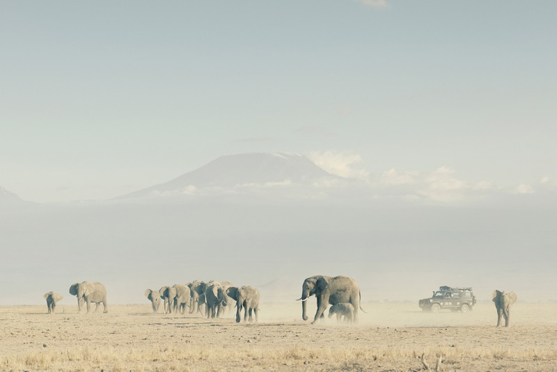 Land Rover贊助Born Free基金會進行銘記大象(Remembering Elephants)計劃,並與英國野生動物攝影師Margot Raggett合作舉辦攝影展,共同為瀕臨生存危機的大象保育工作盡一份心力。