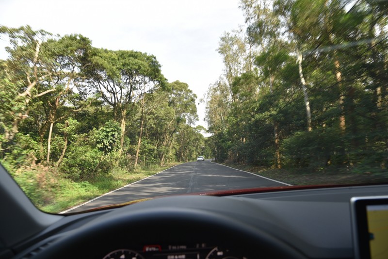 林口台地前道路兩旁樹木有種整齊壯觀之美