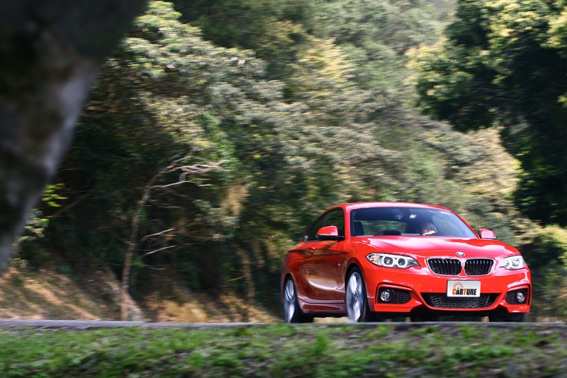 220i Coupe好多了,手排佔車型總銷售比21.4%,但仍然是小眾中的小眾。