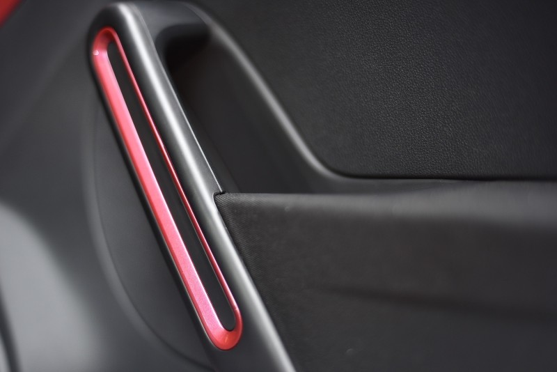 PINK專屬烤漆車門握把飾條