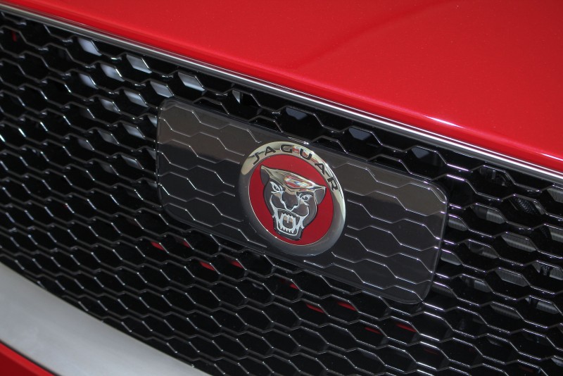 R-Sport 25t RWD採用獨特的平面廠徽