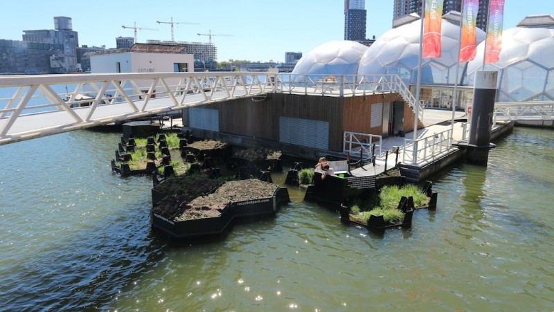 運用熱壓、焊接及3D列印技術建造六角形塑膠浮動島提升了周遭居民的生活環境並且也改善河中魚類和其他水生生物的棲息地。