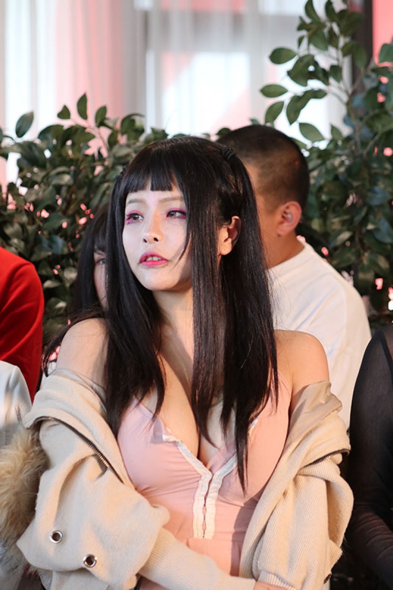 兔寶