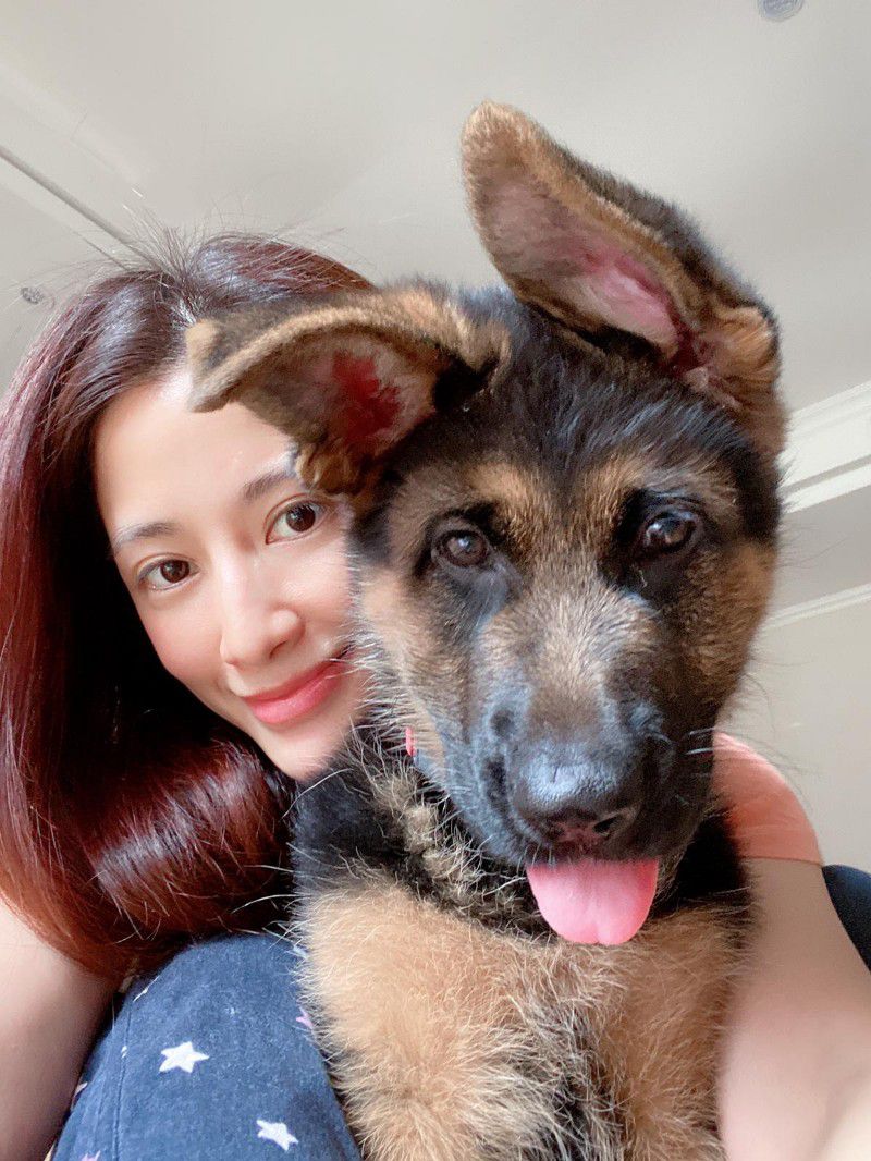李蒨蓉為養犬子,險鬧家庭革命