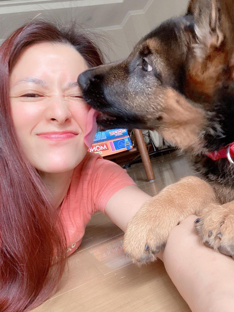 李蒨蓉為養犬子,險鬧家庭革命