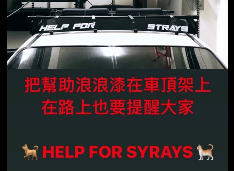 言明澔的車頂行李架上特地噴漆宣導關懷流浪動物。/言明澔提供