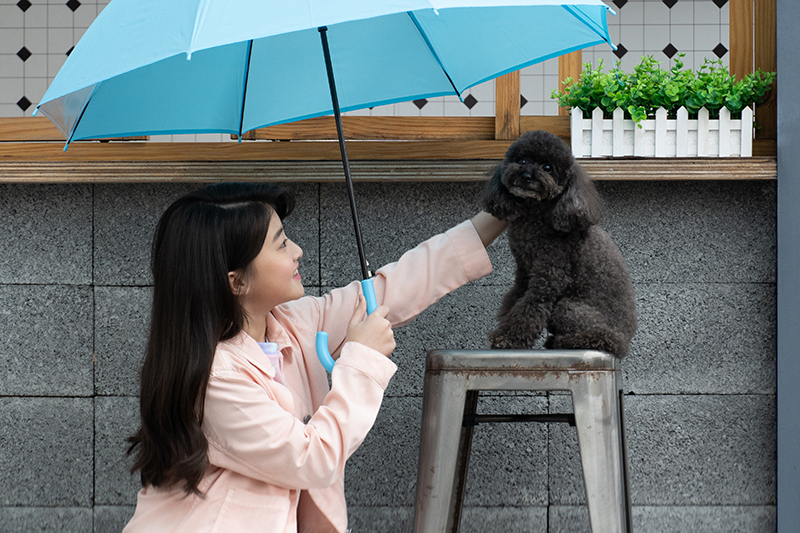 蓋兒Gail拍攝MV《你為了我撐把傘》意外大雨,與歌名不謀而合。