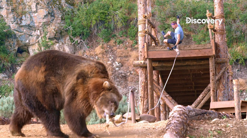 Discovery頻道 霹靂躲避球 人熊競技場 2月13日 14日 初二 初三 週六 日晚間7點首播 Carture 車勢文化