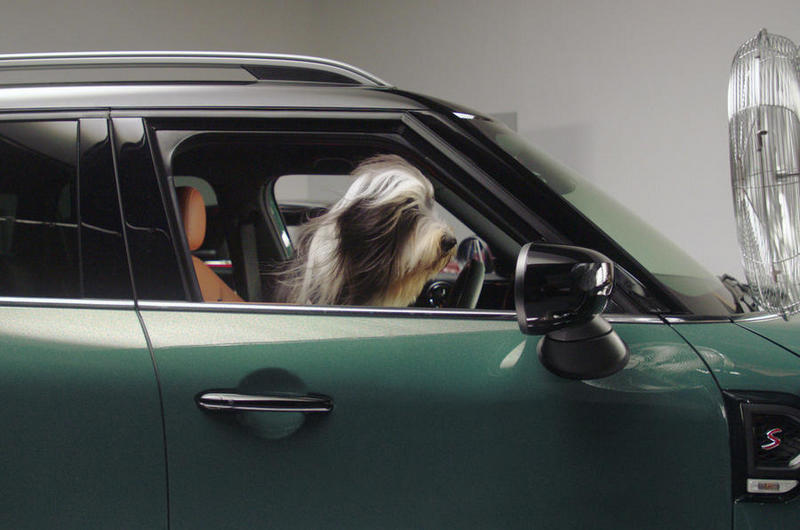 Mini英國據點歡迎寵物進入成為寵物友善商家。