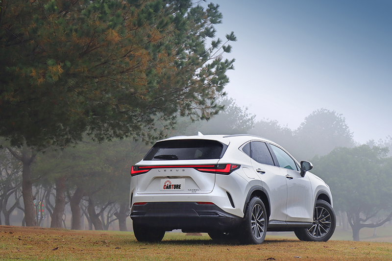 Lexus NX大改款共推出5款車型10種動力選項,可說是歷年產品線最齊全的一次