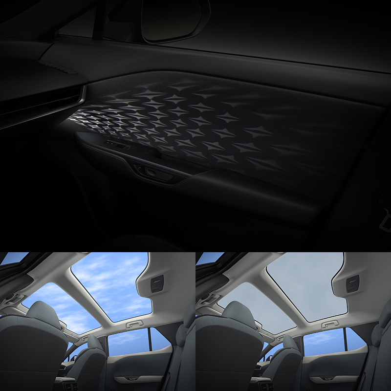 配有世界首創的Shadowy氣氛投射照明,在車門開啟或關閉時以投射光線於車門飾板上,就會映射出獨特的菱格圖案,別具特色。另外也可選配可變光全景天窗。