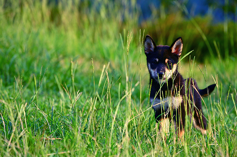 淨零排放是個願景,但卻是讓地球環境得以永續發展的契機。