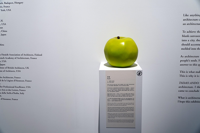 年屆80歲的安藤忠雄從未停止腳步,將「青春」永懷心中,如同青蘋果般永遠保持學習態度持續成長。