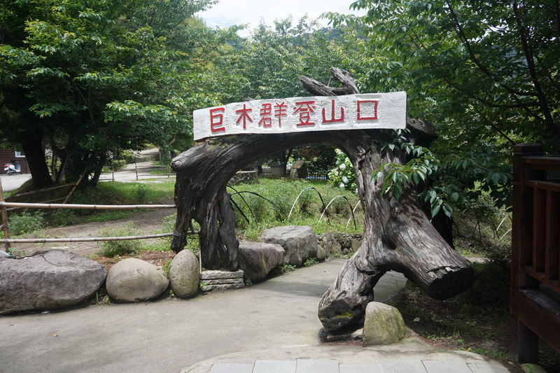 通往神木群的步道單程五公里,來回需抓4-5小時