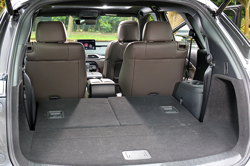 第三排使用時行李廂有230公升容積,倒放後則能擴增到810公升。