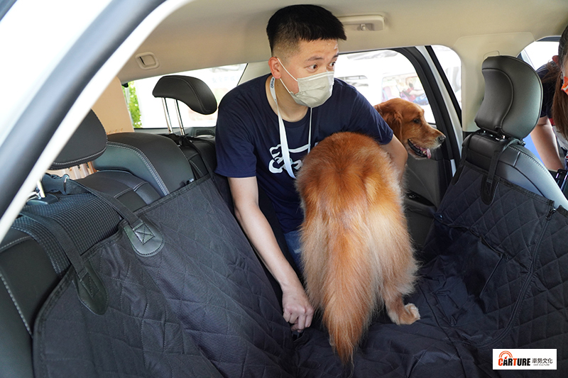 【車勢星聞】黃子佼帶著毛小孩乾女兒小花出席「Ford安全節能駕駛體驗營」擔任大使。